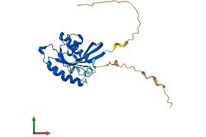 Protein Structure (PS) image for RAB33B, Member RAS Oncogene Family (RAB33B) (AA 1-229) protein (His tag) (ABIN7551233)