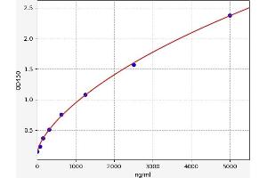 Typical standard curve