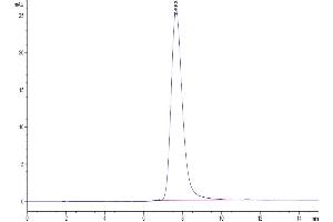 The purity of Rhesus macaque LILRB1/CD85j/ILT2 is greater than 95 % as determined by SEC-HPLC.