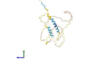 AlphaFold protein structure predicition of Mouse Recombinant Bad Protein, UniprotID Q61337
