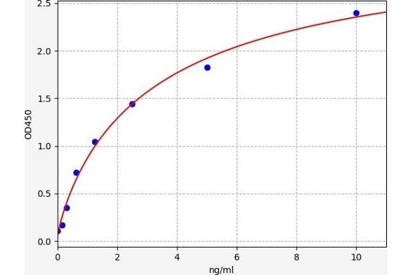 ABCB1 ELISA 试剂盒