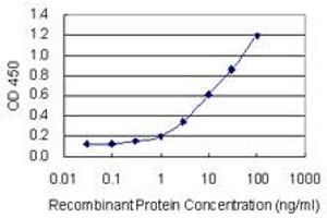 Detection limit for recombinant GST tagged ZNF134 is 0. (ZNF134 抗体  (AA 105-193))