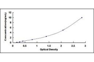 Typical standard curve (PROZ ELISA 试剂盒)