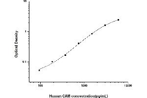 Calmodulin 1 ELISA 试剂盒