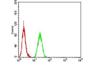 Flow Cytometry (FACS) image for anti-Sirtuin 4 (SIRT4) (AA 215-314) antibody (ABIN5885735) (SIRT4 抗体  (AA 215-314))