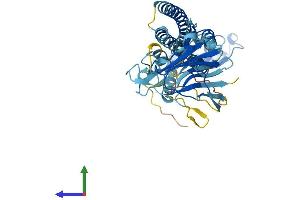 Protein Structure (PS) image for Tripartite Motif Containing 43B (TRIM43B) (AA 1-445) protein (His tag) (ABIN7556770)