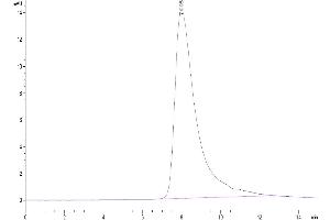 Size-exclusion chromatography-High Pressure Liquid Chromatography (SEC-HPLC) image for Natural Cytotoxicity Triggering Receptor 3 (NCR3) (AA 19-138) protein (His-Avi Tag) (ABIN7275353)
