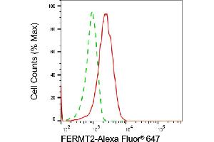 Flow cytometric analysis of FERMT2 expression in HepG2 cells using FERMT2 antibody (ABIN7798592), 1:2,000). (FERMT2 抗体)