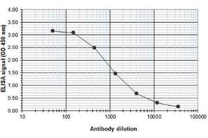 ELISA image for anti-Runt-Related Transcription Factor 1, Translocated To, 1 (Cyclin D-Related) (RUNX1T1) (Internal Region), (N-Term) antibody (ABIN6655575)
