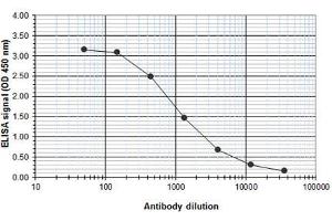 ELISA of anti-human ETO antibody ELISA results of Rabbit anti-human ETO antibody.