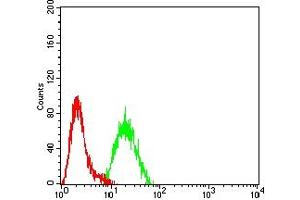 Flow cytometric analysis of Hela cells using KMT2C mouse mAb (green) and negative control (red). (MLL3 抗体  (AA 1-205))