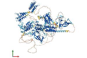 AlphaFold protein structure predicition of Mouse Recombinant Pbrm1 Protein, UniprotID Q8BSQ9