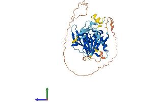 Protein Structure (PS) image for Methyltransferase Like 18 (METTL18) (AA 1-362) protein (His tag) (ABIN7560768)