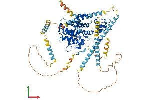 Protein Structure (PS) image for Dystrobrevin, beta (DTNB) (AA 1-627) protein (His tag) (ABIN7547148)