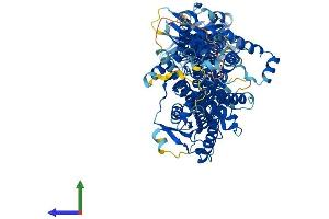 Protein Structure (PS) image for Post-GPI Attachment To Proteins 1 (PGAP1) (AA 1-922) protein (His tag) (ABIN7554915)