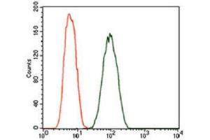 Flow Cytometry (FACS) image for anti-Dynactin 4 (DCTN4) (AA 57-298) antibody (ABIN1843394) (Dynactin 4 抗体  (AA 57-298))