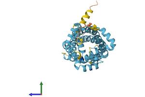 Protein Structure (PS) image for Solute Carrier Family 25 (Mitochondrial Carrier: Glutamate), Member 22 (SLC25A22) (AA 1-323) protein (His tag) (ABIN7561051)