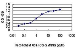 Detection limit for recombinant GST tagged GATA2 is approximately 0. (GATA2 抗体  (AA 1-102))