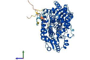 Protein Structure (PS) image for Glucokinase (Hexokinase 4) Regulator (GCKR) (AA 1-625) protein (His tag) (ABIN7547931)
