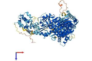 AlphaFold protein structure predicition of Mouse Recombinant Nod2 Protein, UniprotID Q8K3Z0 (NOD2 Protein (AA 1-1020) (His tag))