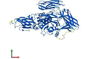 Protein Structure (PS) image for Transglutaminase 4 (Prostate) (TGM4) (AA 1-670) protein (His tag) (ABIN7559042)