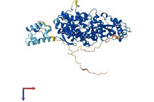 SAMHD1 Protein (AA 1-626) (His tag)
