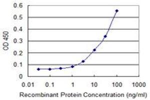 Detection limit for recombinant GST tagged ZNF197 is 1 ng/ml as a capture antibody. (ZNF197 抗体  (AA 161-267))