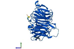 Protein Structure (PS) image for Budding Uninhibited By Benzimidazoles 3 Homolog (Yeast) (BUB3) (AA 1-328) protein (His tag) (ABIN7552820)