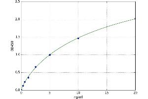 Leukocyte Receptor tyrosine Kinase (LTK) ELISA Kit