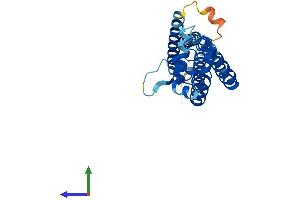 Protein Structure (PS) image for Tetraspanin 5 (TSPAN5) (AA 1-268) protein (His tag) (ABIN7556598)