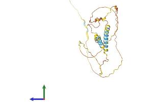 Protein Structure (PS) image for MyoD Family Inhibitor Domain Containing (MDFIC) (AA 1-246) protein (His tag) (ABIN7554530)