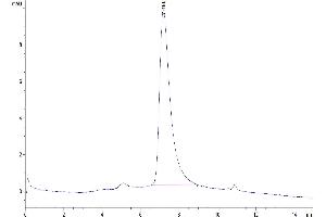 Size-exclusion chromatography-High Pressure Liquid Chromatography (SEC-HPLC) image for V-Set Domain Containing T Cell Activation Inhibitor 1 (VTCN1) (AA 29-258) protein (His-Avi Tag,Biotin) (ABIN7273953)