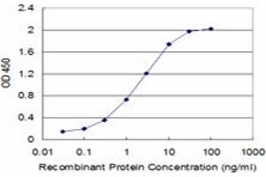 Detection limit for recombinant GST tagged FAS is approximately 0. (FAS 抗体  (AA 20-119))