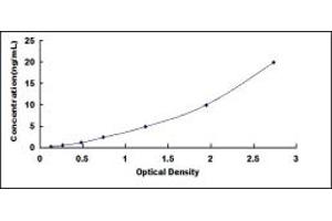 Typical standard curve (PSMB6 ELISA 试剂盒)