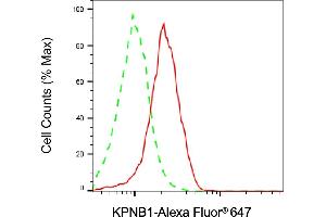 Flow cytometric analysis of KPNB1 expression in HepG2 cells using KPNB1 antibody (ABIN7799157), 1:2,000). (KPNB1 抗体)