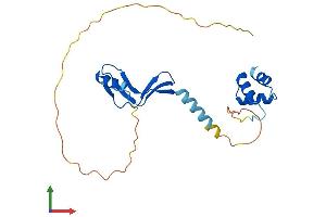 Protein Structure (PS) image for Nascent Polypeptide-Associated Complex alpha Subunit 2 (NACa2) (AA 1-215) protein (His tag) (ABIN7549682)