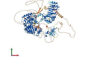 AlphaFold protein structure predicition of Mouse Recombinant Kdm2a Protein, UniprotID P59997