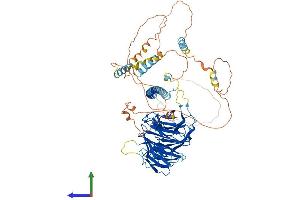 Protein Structure (PS) image for Striatin (STRN) (AA 1-780) protein (His tag) (ABIN7562483)