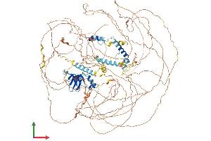 Protein Structure (PS) image for Ataxin 2 (ATXN2) (AA 1-1313) protein (His tag) (ABIN7552589)