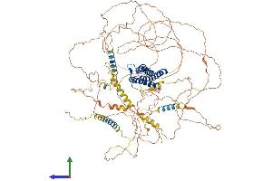 Protein Structure (PS) image for Discs, Large (Drosophila) Homolog-Associated Protein 1 (DLGAP1) (AA 1-977) protein (His tag) (ABIN7553670)