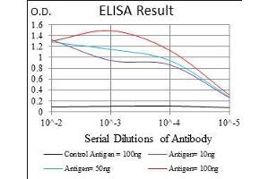 Black line: Control Antigen (100 ng), Purple line: Antigen(10 ng), Blue line: Antigen (50 ng), Red line: Antigen (100 ng), (Caspase 7 抗体  (AA 29-198))