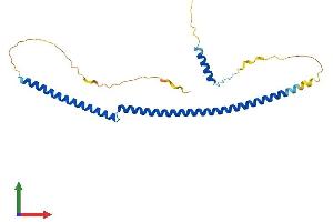 AlphaFold protein structure predicition of Mouse Recombinant Brms1 Protein, UniprotID Q99N20