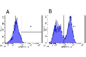Flow-cytometry using anti-CD40 antibody G28. (Recombinant CD40 抗体)