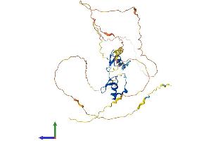 Protein Structure (PS) image for GATA Binding Protein 1 (Globin Transcription Factor 1) (GATA1) (AA 1-413) protein (His tag) (ABIN7547803)