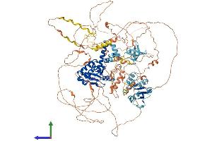 Protein Structure (PS) image for Asparagine-Linked Glycosylation 13 Homolog (ALG13) (AA 1-1166) protein (His tag) (ABIN7564996)