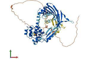 Protein Structure (PS) image for Ankyrin Repeat Domain 13C (ANKRD13C) (AA 1-541) protein (His tag) (ABIN7552212)