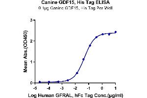 ELISA image for Growth Differentiation Factor 15 (GDF15) (AA 197-307) protein (His tag) (ABIN7274721)