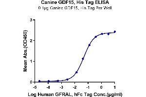 Immobilized Canine GDF15, His Tag at 1 μg/mL (100 μL/Well) on the plate. (GDF15 Protein (AA 197-307) (His tag))