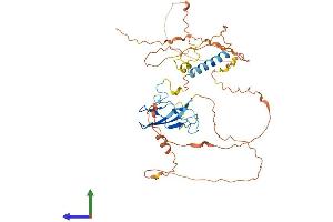 Protein Structure (PS) image for Zygote Arrest 1 (ZAR1) (AA 1-424) protein (His tag) (ABIN7545280)