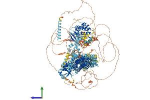 Protein Structure (PS) image for Mitogen-Activated Protein Kinase Kinase Kinase 4 (MAP3K4) (AA 1-1597) protein (His tag) (ABIN7562185)